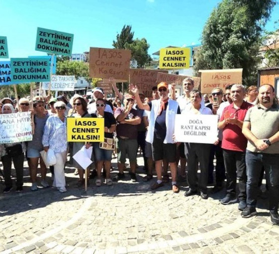 Antik Kent İasos'ta planlanan liman projesine tepki: 'Ne tarih, ne balık ne zeytin kalacak'