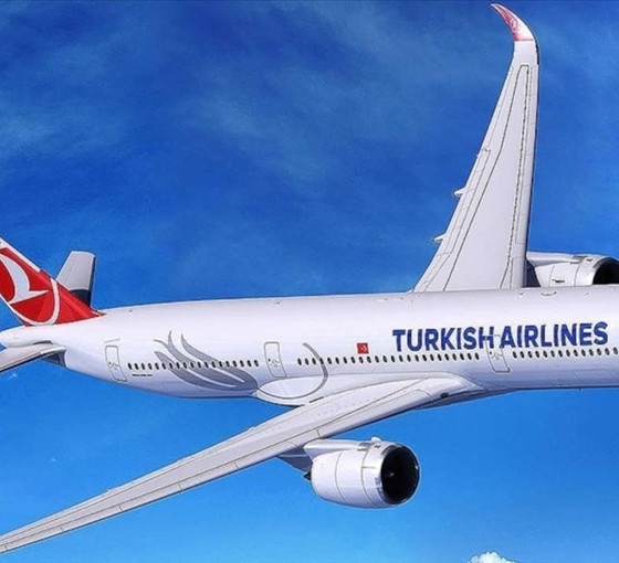 THY uçağı havadayken pilot öldü, acil iniş yapıldı