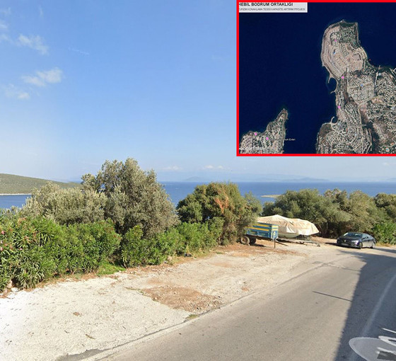 Bodrum’da zeytinliğe inşa edilecek otelin sahibi eski bakan çıktı