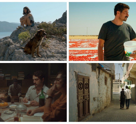 Altın Koza Günlükleri 3: Performans ve sinema