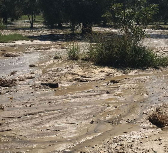 Aydın Germencik’te çevre felakati: JES borusu patladı!