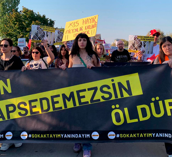 Yaşam hakkı savunucuları ‘katliam yasası’na karşı meydanda: Yasayı iptal et
