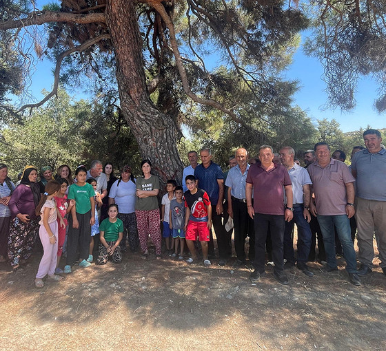 Künesler mezrası hukuk mücadelesini kazandı: Yargı orman katliamına 'dur' dedi