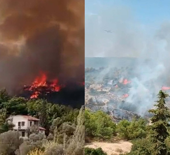 İzmir'de çöplükte çıkan yangın, ormana sıçradı