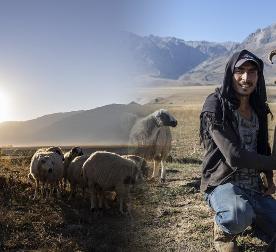 Dersim'de yayla sezonu bitti, koçerlerin zorlu dönüş yolculuğu başladı