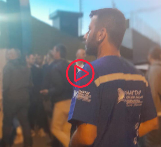 Hayvan hakları savunucuları AKP il binası önüne yürüdü: Gazeciler engellendi, eylemciler gözaltına alındı