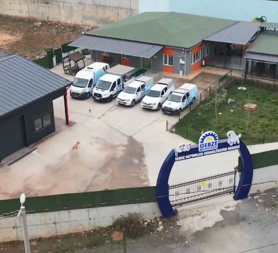 Belediyeye ait barınakta hayvan katliamı: 'İlgililer açığa alındı'