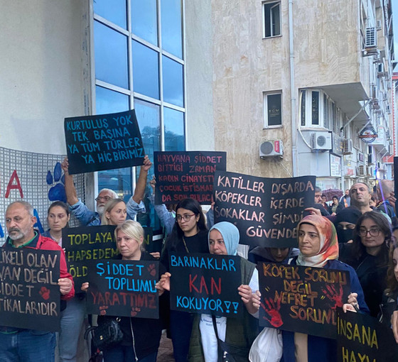 Gebze'deki hayvan katliamı Hopa'da protesto edildi: Ülke suç mahalline döndü
