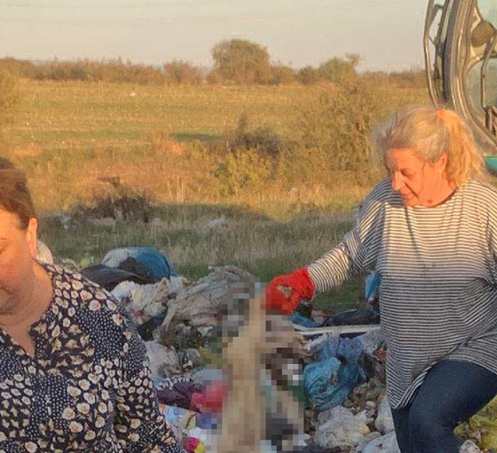 Kırklareli'ndeki barınakta hayvan ölümleri: Bu hayvanlar sokakta değil bakımevindeydiler