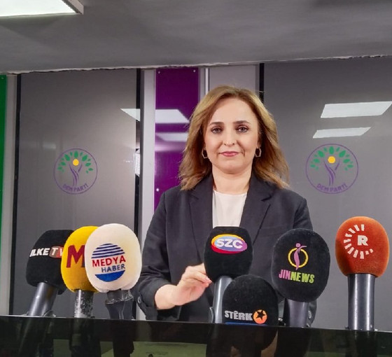 Ayşegül Doğan: Tecrit kaldırılmalı, Öcalan tartışmalara dahil edilmeli