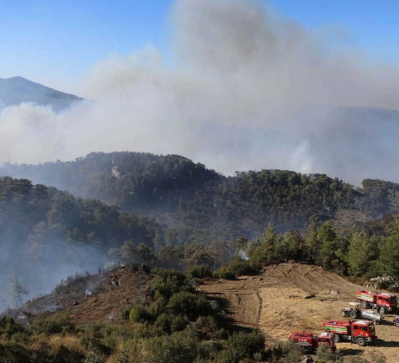 Muğla'da elektrik telleri orman yangını çıkardı: 29 yapı zarar gördü