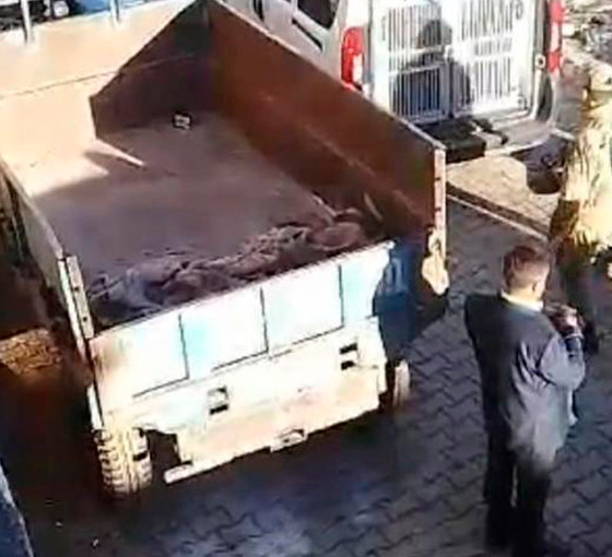 Mardin’de iki mahalledeki sokağa çıkma yasağı kaldırıldı: Dört gözaltı