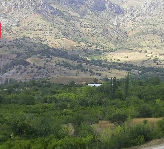 Cengiz'den sonra Koza Altın da gözünü Eskişehir'e dikti