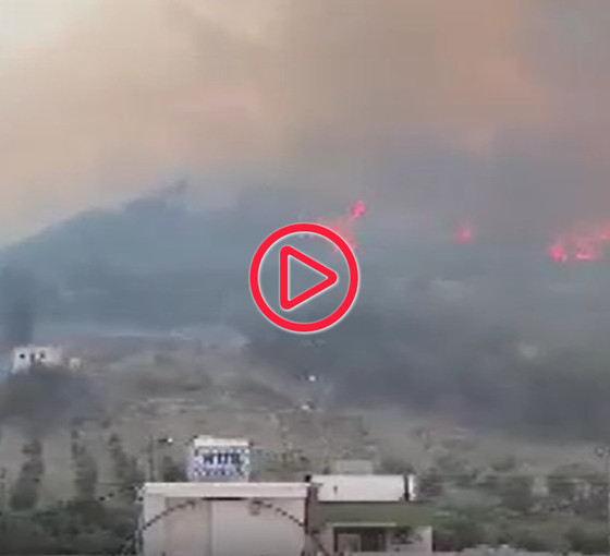 Hatay'daki orman yangını evlere ulaştı