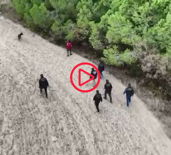 Kayıp iş insanı ormanda ölü bulundu, ortağı tutuklandı