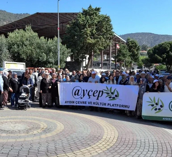 Mahkeme, zeytinliklerin ortasındaki JES girişimine "dur" dedi