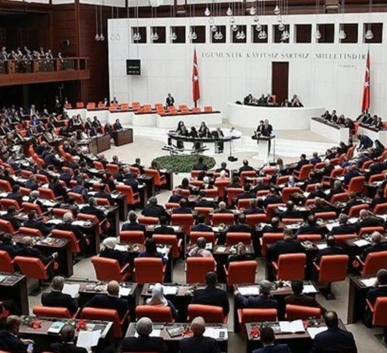 Düzenleme Meclis'ten geçti: Yetkisiz çakara ceza artışı, bekçilere üst arama yetkisi geldi