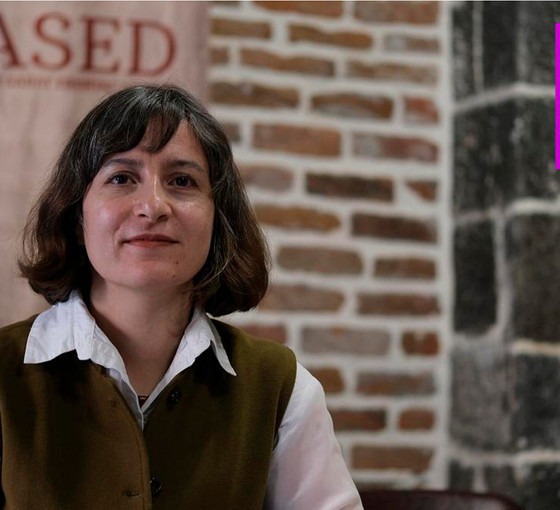 KASED yöneticisi aktivist Saliha Ayata: ‘İki yıl yatar çıkarım’ klişesi cezasızlık politikası sonucudur