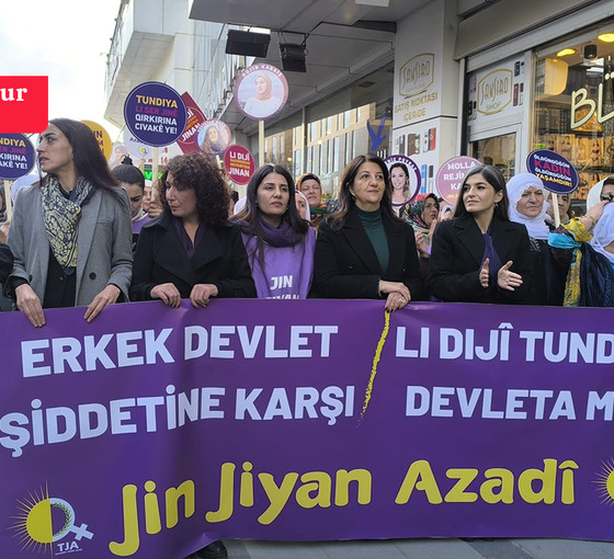 Van'da TJA'dan 25 Kasım eylemi: 'Erkek devlet şiddetine karşı jin, jiyan, azadi'