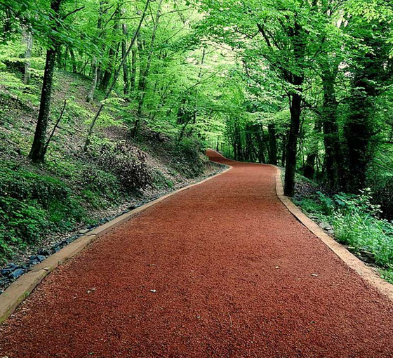 Belgrad Ormanı'nın koruma statüsü değiştirilip, imara açılıyor