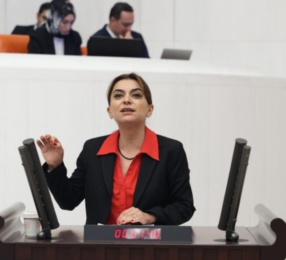 Gülistan Kılıç Koçyiğit: Türk bayrağı, 'terör örgütü' denilen HTŞ'nin elinde