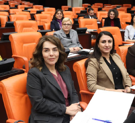 DEM Partili vekilden sınır ticareti eleştirisi: 'Kürtlerin Kürtler ile ticaret yapması tehlikeli görülüyor'