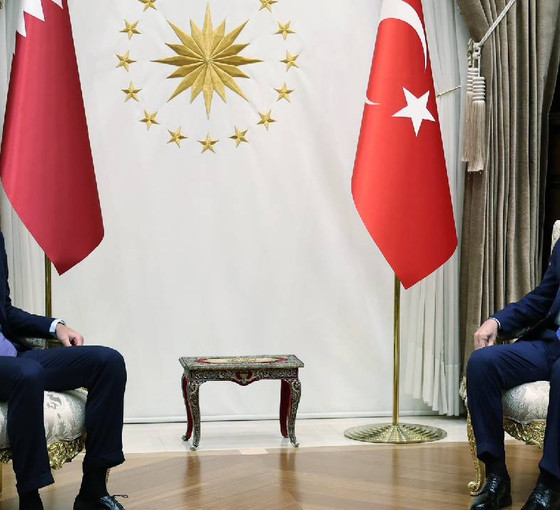 Erdoğan, Katar Emiri Şeyh Al Sani ile bir araya geldi