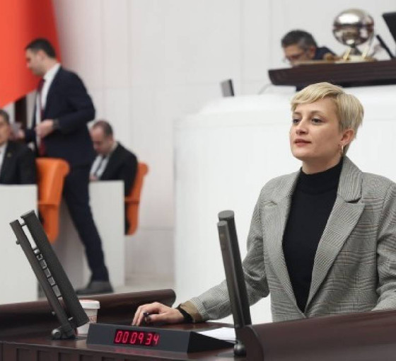 DEM Partili Koca'dan 'bütçe' tepkisi: '2025'te sarayda günlük 46 milyon lira harcanacak'