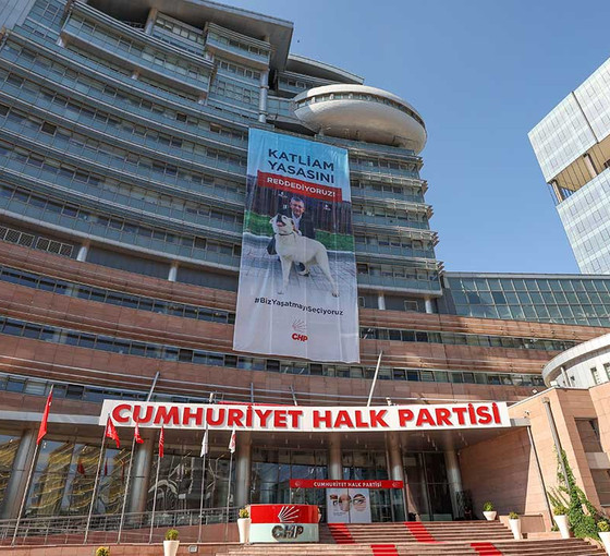Yazı gönderildi: CHP’den belediyelere sokak hayvanları yönetmeliği uyarısı
