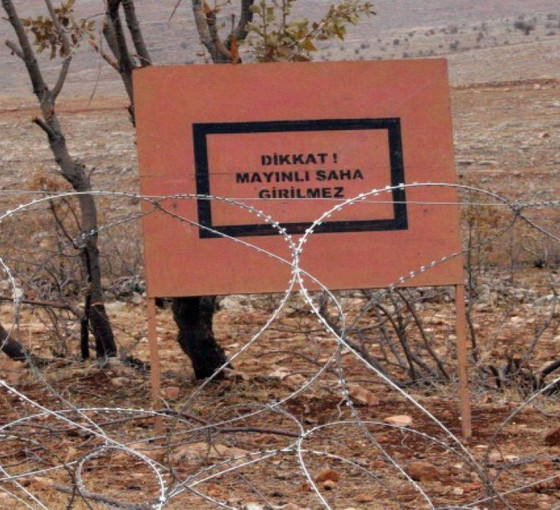 Dersim'de kara mayın tehlikesi: 'Canlı yaşamı tehdit ediyor'