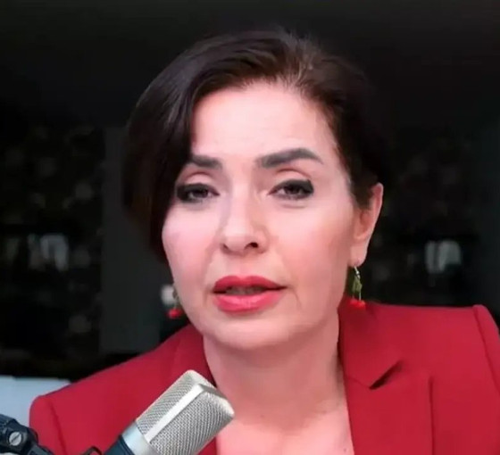 Gazeteci Özlem Gürses 'SMO' yorumu nedeniyle gözaltına alındı