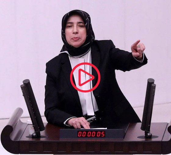 AKP'li Zengin Meclis kürsüsünden Gergerlioğlu'na hakaret etti