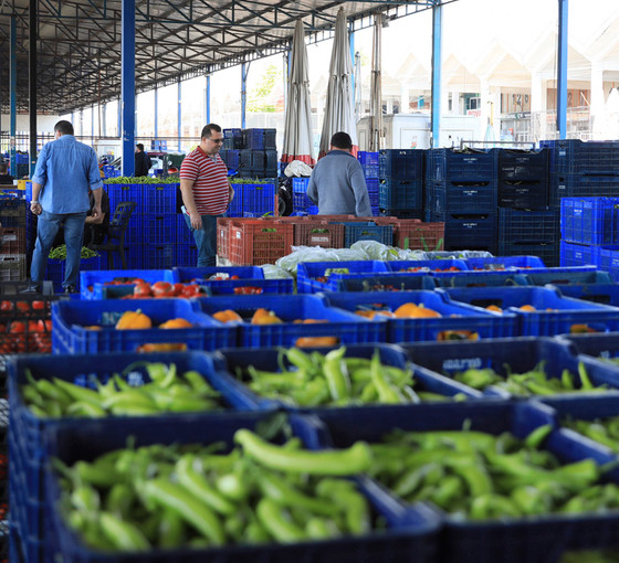 Seraları soğuk vurdu; ürün azaldı, fiyatlar arttı