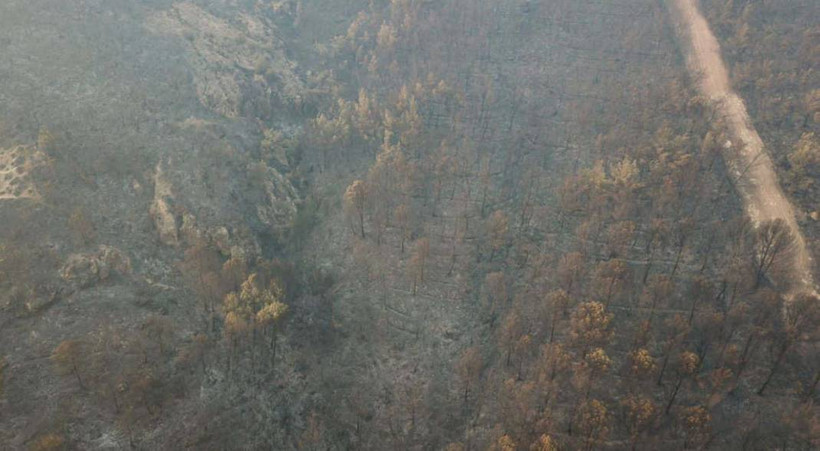 İzmir'deki orman yangınında fotoğraflarla son durum: 16 ev yandı, 3 mahalle boşaltıldı, yüzlerce kişi tahliye edildi - Resim: 8