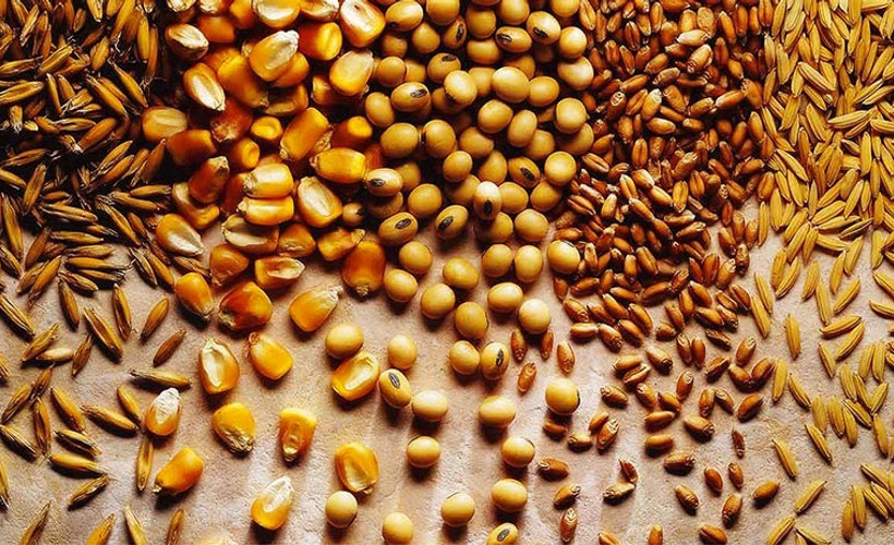 'Bakliyatta stoklar iki yıl yetecek ürünle dolu'
