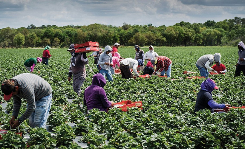 'Virüsten korunurken açlıktan, kıtlıktan heba olmayalım'
