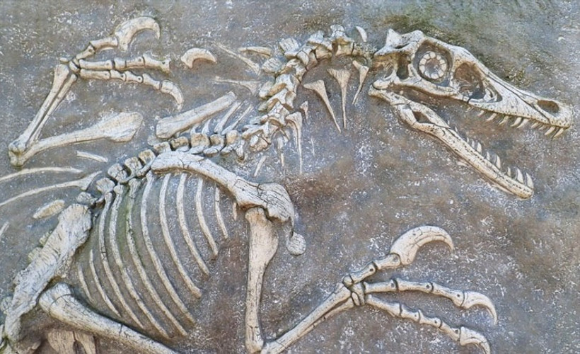 67 milyon yıllık bir dinozor fosili bulundu