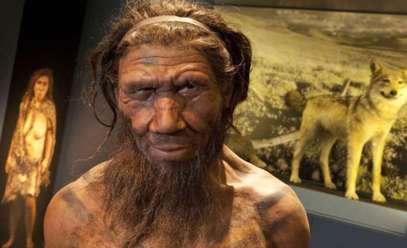 Erken yatıp erken kalkanların sırrı çözüldü: Neandertal geni