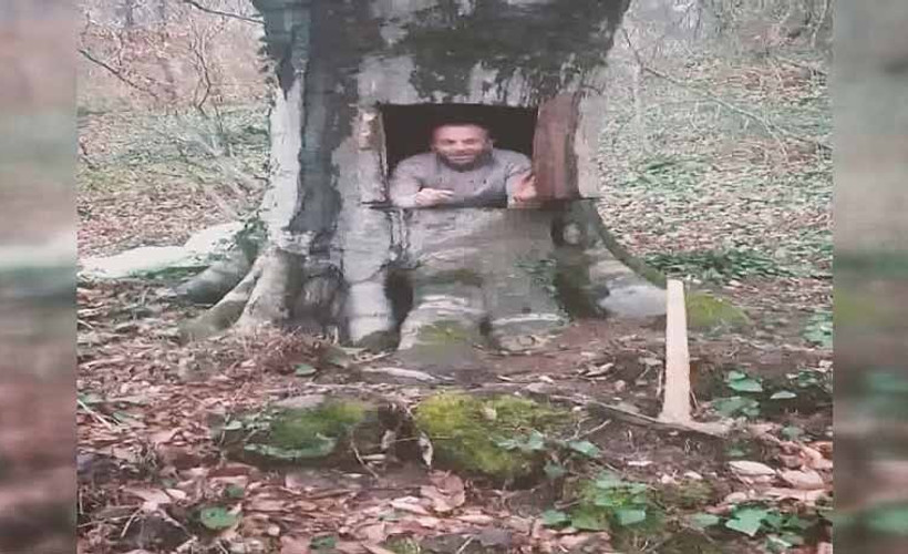 Koronavirüsten korunmak için oyduğu ağaç kovuğuna girdi
