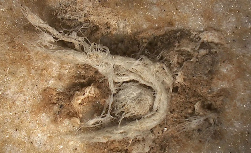 Neandertaller döneminden kalma ip kalıntıları keşfedildi
