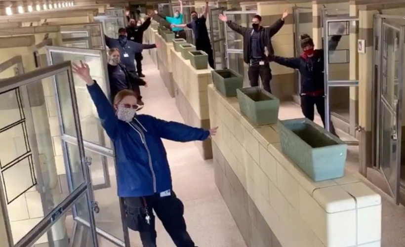 ABD'de bir hayvan barınağı salgınla birlikte tüm sakinlerini sahiplendirdi