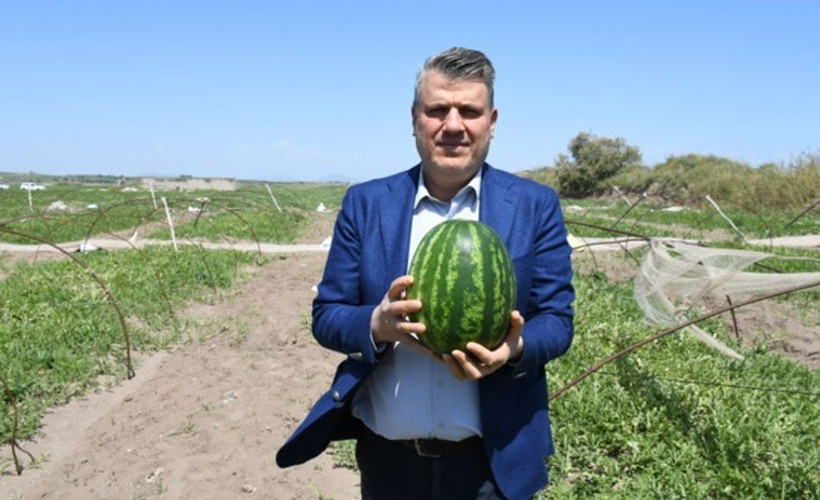 Karpuz hasadı bir hafta sonra başlıyor, üreticiler satış sorunu yaşayacak