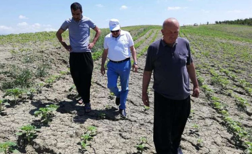 Sıcak ve rüzgarın etkili olduğu Karaisalı'da afet ilanı talebi