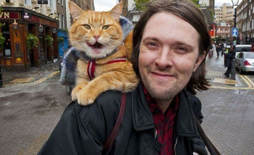 Kitaba ve filme konu olan kedi Bob öldü