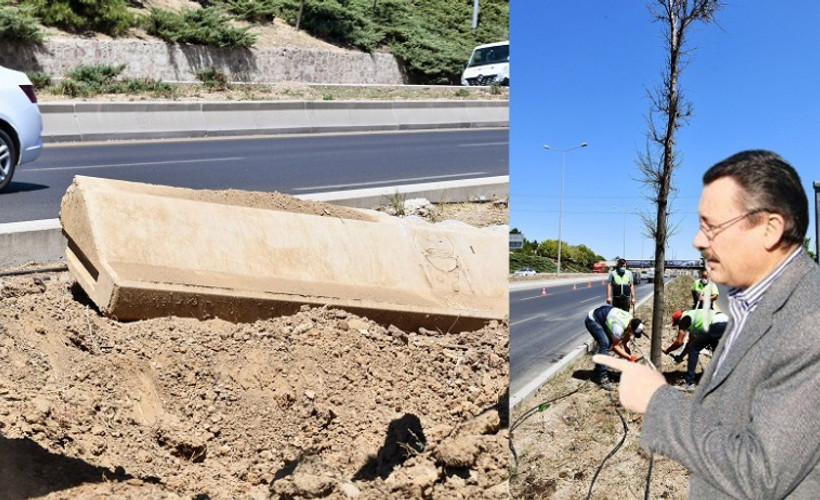 Gökçek'in betona diktiği ağaçlar kurudu
