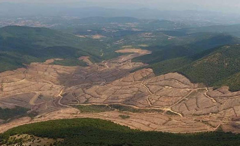 'Kazdağları’ndaki altın madenciliğini pandemi nedeniyle durdurun' başvurusu