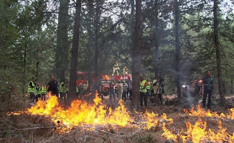 Orman Bakanı 'her türlü kayıp olabilir' demişti: 2019’da 486 orman işçisi yaşamını yitirdi