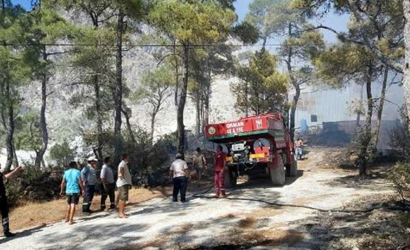 Datça'da orman yangını