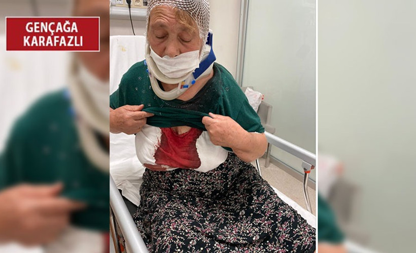 Öğretmen Hasan Kanber, halasını odun sopasıyla darp etti