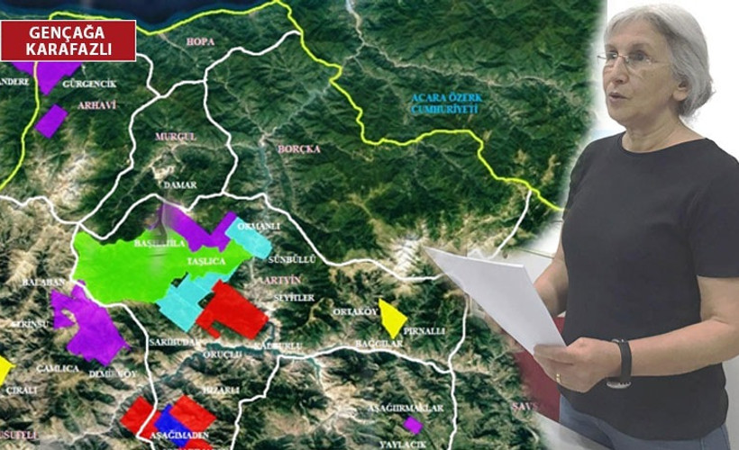 Yeşil Artvin Derneği'nden maden ruhsat ihalelerine tepki